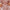 Satin Silk Lingerie Robes for Women  