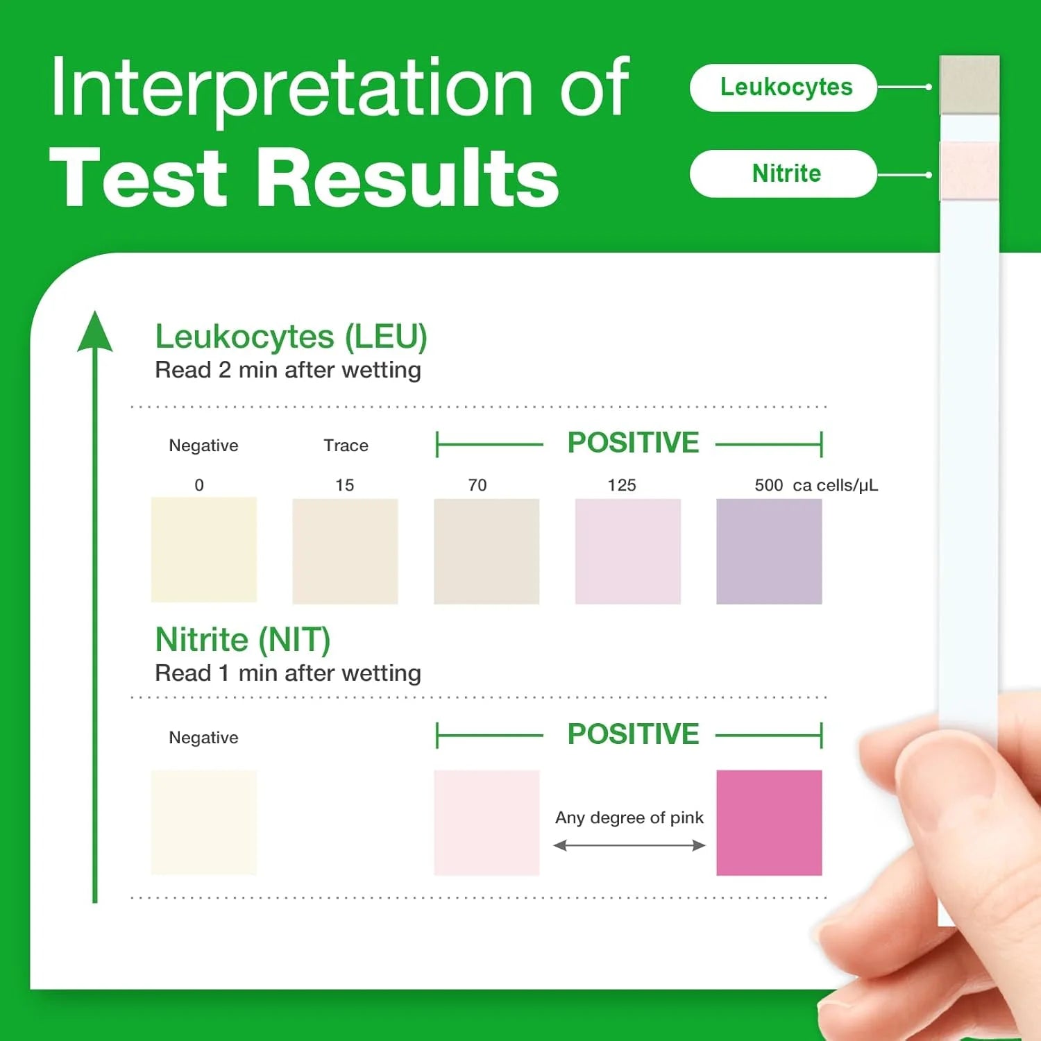 Urinary Tract Infection Urine Health Test